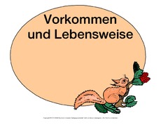 Mindmap-Eichhörnchen-3.pdf